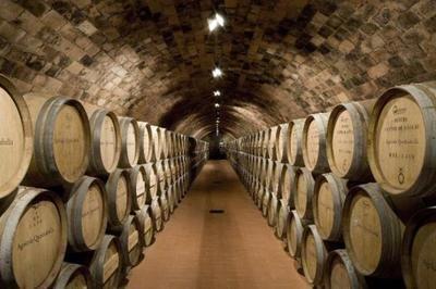 82年的拉菲為何至今仍有售？解析葡萄酒產(chǎn)量與市場流通的奧秘