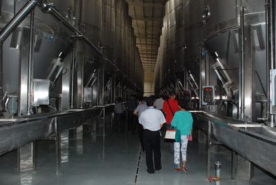 武威 中國(guó)葡萄酒旅游新領(lǐng)地的崛起與機(jī)遇